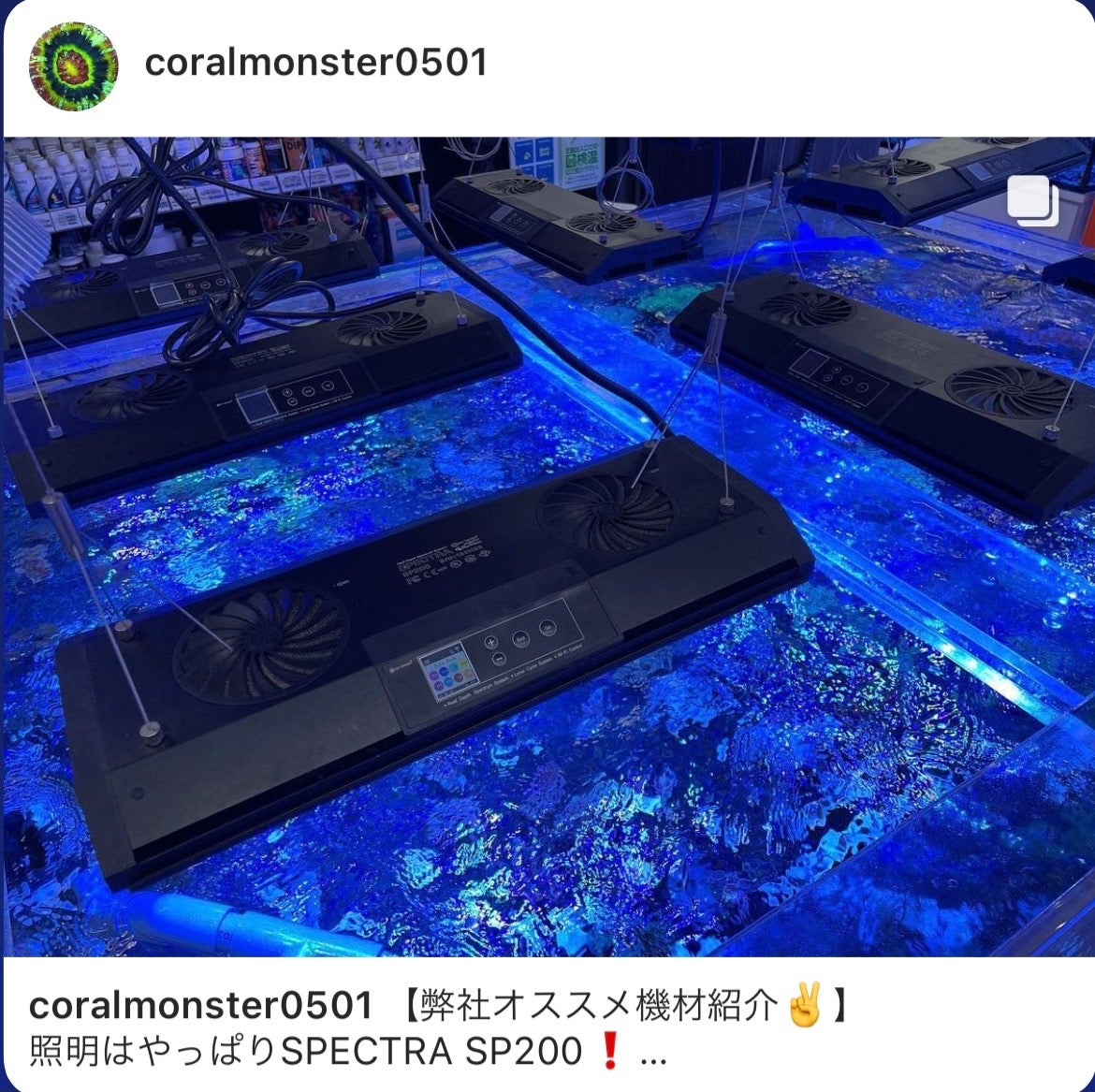 SPECTRA SP200(スペクトラ)｜サンゴ通販なら大阪の専門店 Coralmonster 