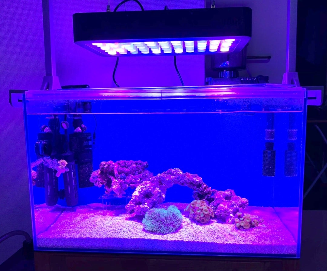 海水魚 サンゴ水槽 LEDライト 165w ペット用品 魚用品/水草 ペット用品 