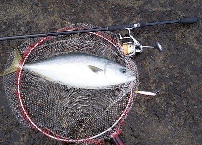 シマノ ボーダレス460M-T | Yes! Fishing is my RELIGION! シマノ ボーダレス460M-T | Yes! Fishing is my RELIGION!