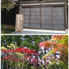先日の帰省③-1の画像