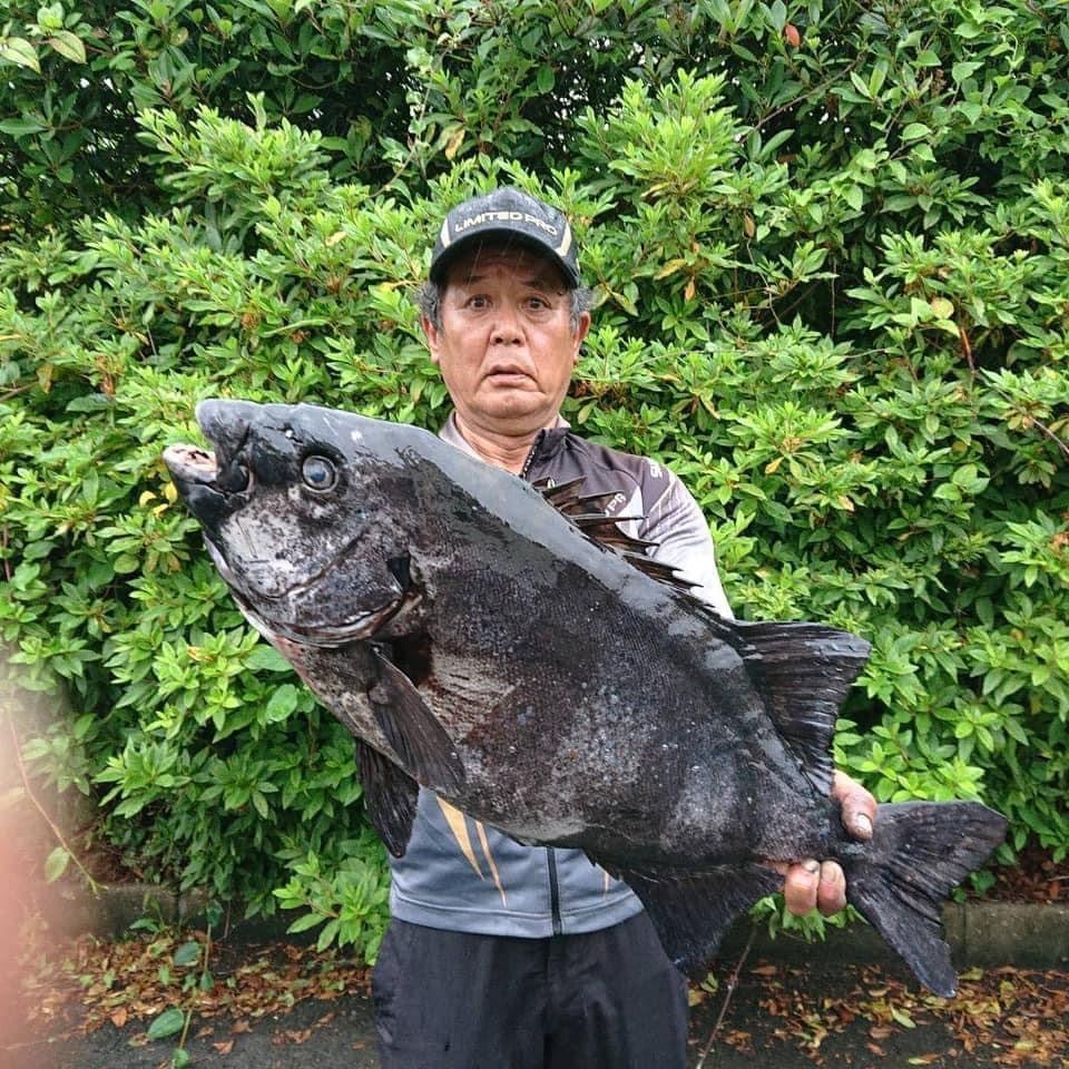 名手 橋本陽一郎さん ケンボーの No Fishing No Life 名手 橋本陽一郎さん ケンボーの No Fishing No Life