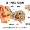 姿勢と突発性難聴の関係性の画像