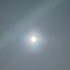 8月31日満月の画像