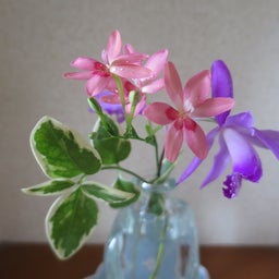 画像 たまにはおいしいケーキを の記事より 1つ目