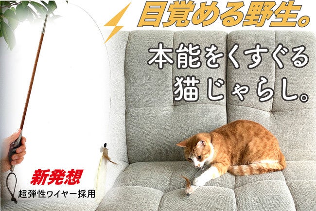 キュリオスプリング、超弾性のワイヤーを活用した猫じゃらしを発売 | トレンドボケ防止
