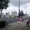 6月12日　歩道のクリーン活動の画像