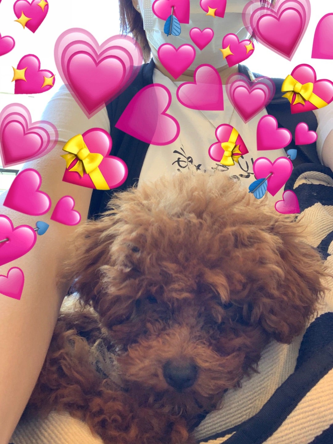 初トリミングに行ってきました✌️の記事画像