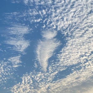 クリオネの雲の画像
