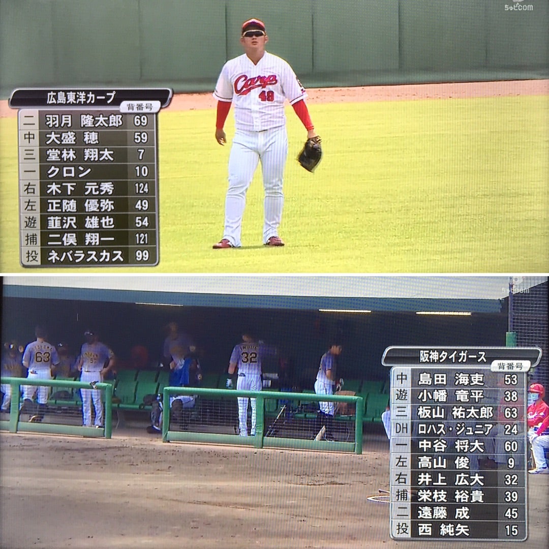 ウエスタンリーグ阪神戦 6月29日 由宇カープもアカン カープと野球ぐるぐる帳 カープファンを嫌いなカープファンのブログ
