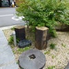 上田市太郎山の天狗石の画像