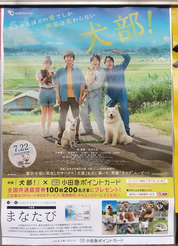 最近気になるこのポスター 映画 犬部 豆柴 姫 と湘南の おーさん