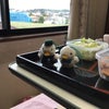 お昼ご飯ですよ〜❣️の画像