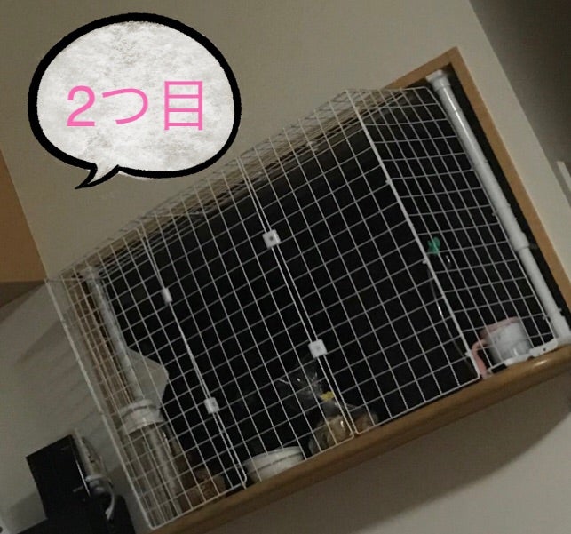 猫侵入対策DIY完了！の記事画像