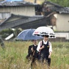 【連載㉖】熊本地震取材日誌（2016年の今日、熊本で何があったのか？）の記事より