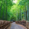 ドイツの生徒さんから教えて頂いた日本の美しい言葉たちの画像