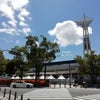 横浜スタジアムの夏の画像