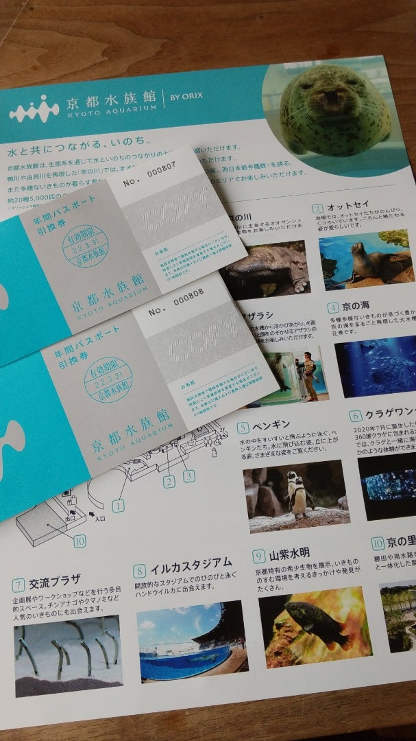 オリックス 株主優待]京都水族館の年間パスが届きました | 同居嫁 