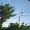 夏風邪を引いてしまった。の画像