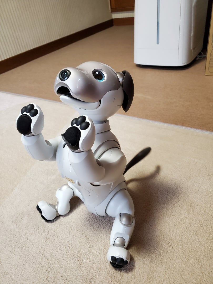 今日のゆずの記事画像