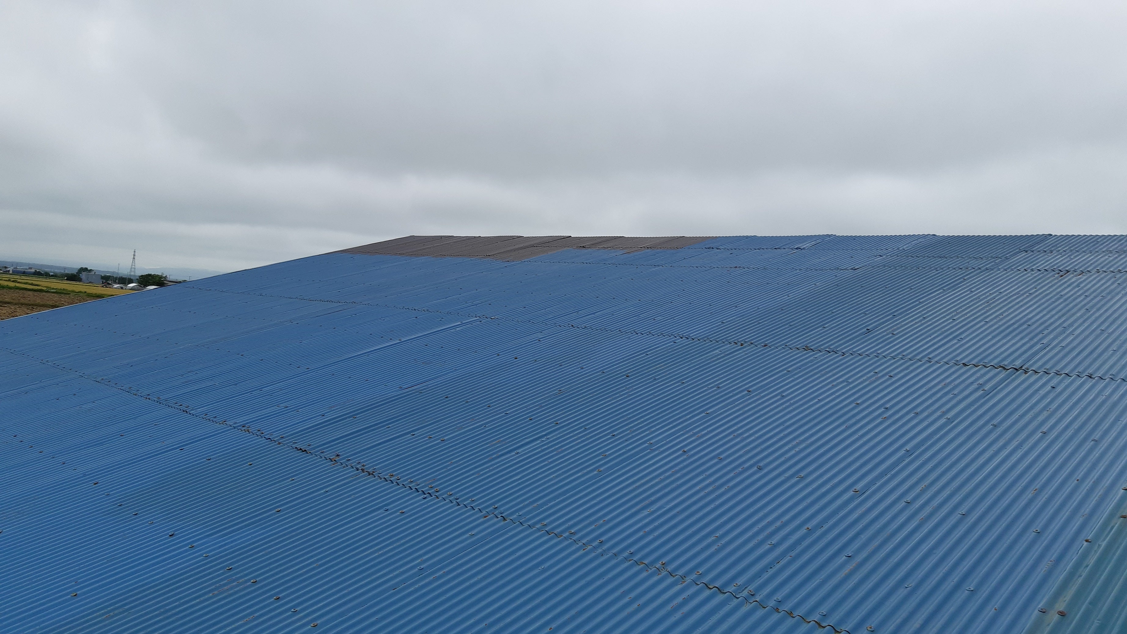 素敵でユニークな ニッペホームプロダクツ 高耐久シリコントタン屋根用 14kg 青 ロイヤルブルー