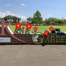 7/24 Toiro平塚　季節の花が溢れる花菜ガーデンへ！の記事より