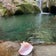 龍鎮神社とピンクの法螺貝