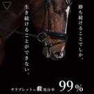 日本へ生体輸出される馬の記事より