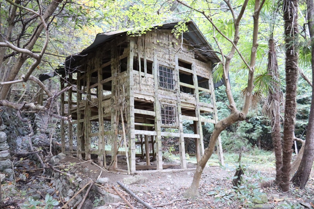 新井 さん の 家