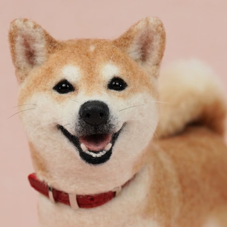 羊毛フェルトの柴犬♡茶々丸ちゃん❤ 出発前恒例の…②