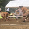 【結果】東日本学生相撲選手権の画像