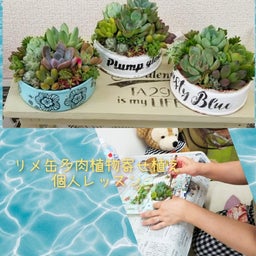 画像 リメ缶多肉植物寄せ植え 個人レッスンレポ イメルダ の記事より 1つ目