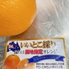美味しい！生オレンジスカッシュ　きゅある　きゅあ子の画像