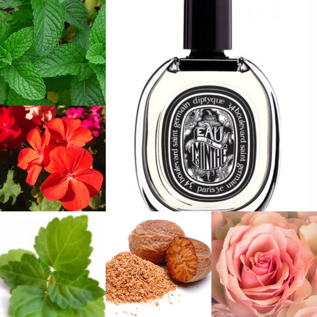これがネオフゼア 香水レビュー オードミンテ ディプティック | 香水 