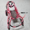 犬の車椅子　ABSプラスチックパイプ製四輪車椅子っ！の巻の画像