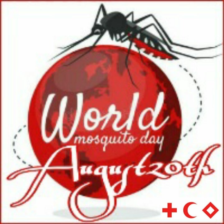 the world mosquito day,今天是世界蚊子日