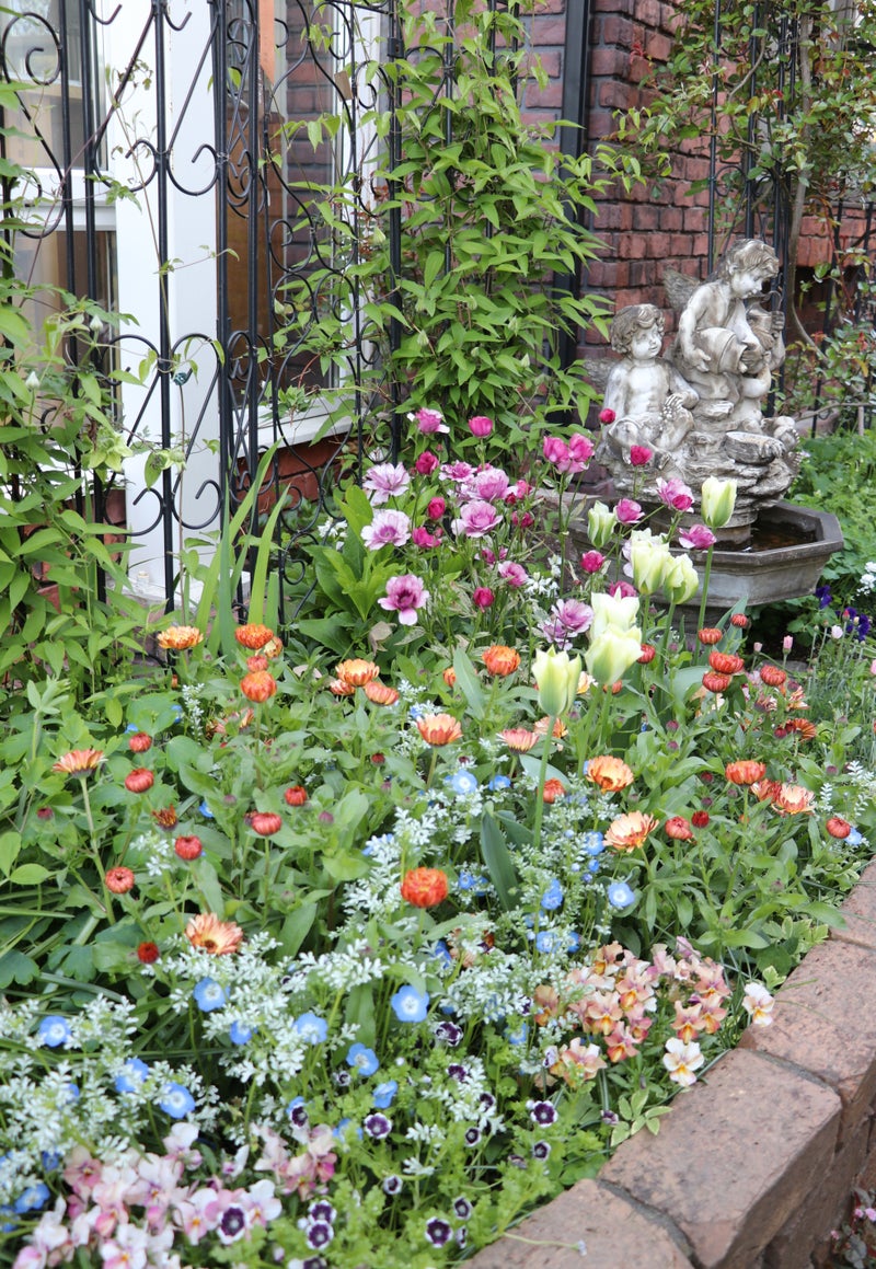 元気良すぎの夏花壇 キヨミのガーデニングブログ 長澤淨美のアメブロオフィシャルブログpowered By Ameba