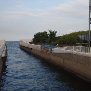 福浦岸壁の今は  2022年1月末の画像