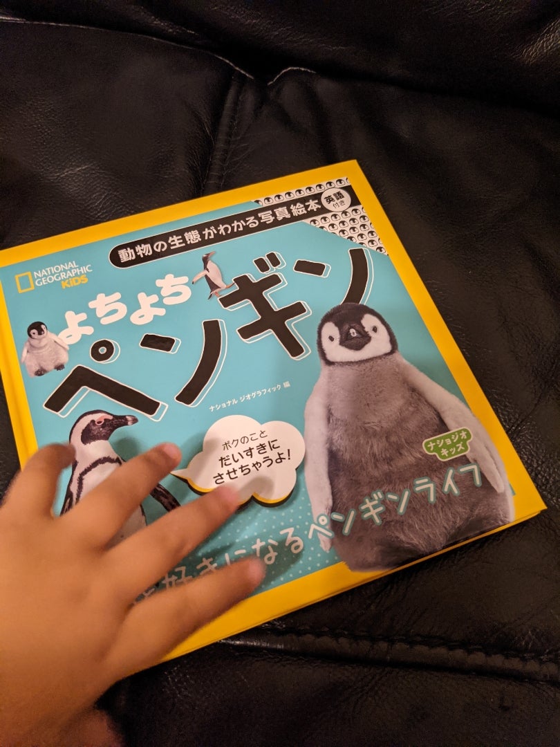 お家時間を楽しもう 3歳5ヶ月と1歳11ヶ月 年子兄弟育ててます ワーママ日記 お家時間を楽しもう 3歳5ヶ月と1歳11ヶ月 年子兄弟育ててます ワーママ日記