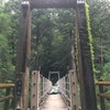 屋久島で超絶レア、奇跡のアカヒゲ‼の画像