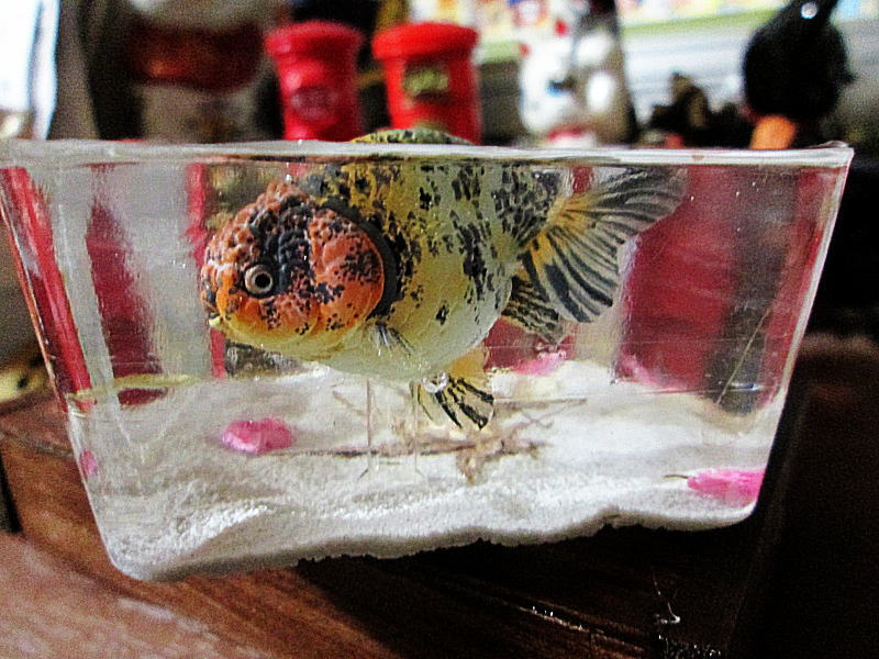 京都の紅葉と泳ぐ金魚たち・・・レジンのジオラマ | ねこじゃらし・Ｋ 