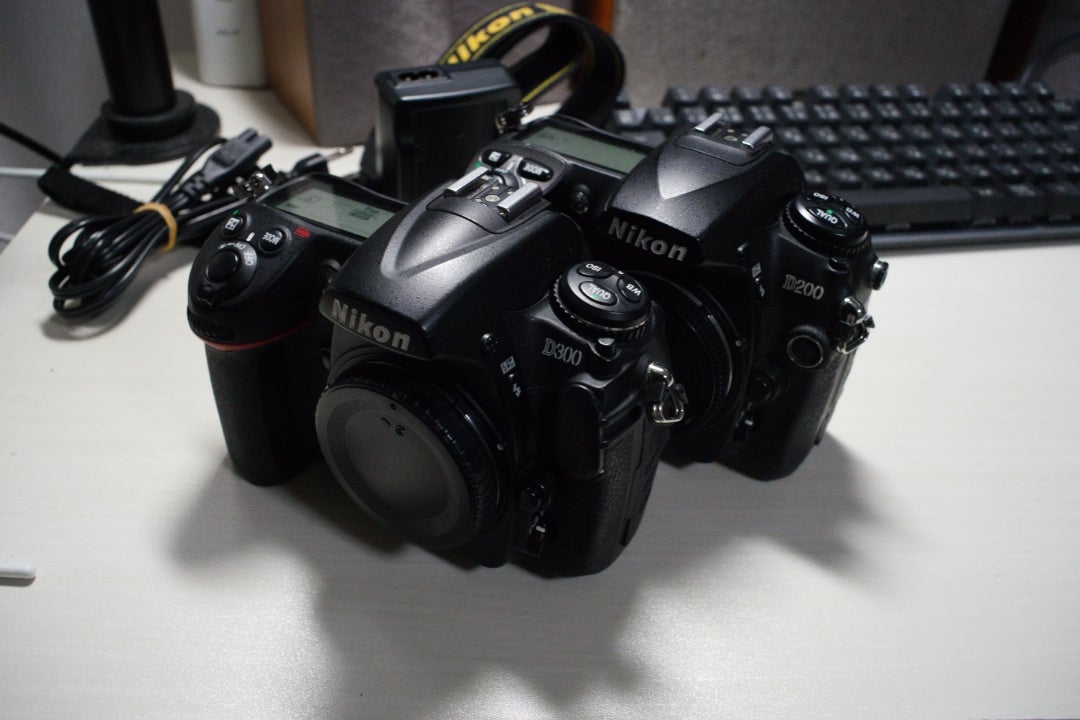 Nikon D300 ジャンク | hartwellspremium.com