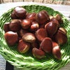 栗ご飯炊きました。、の画像