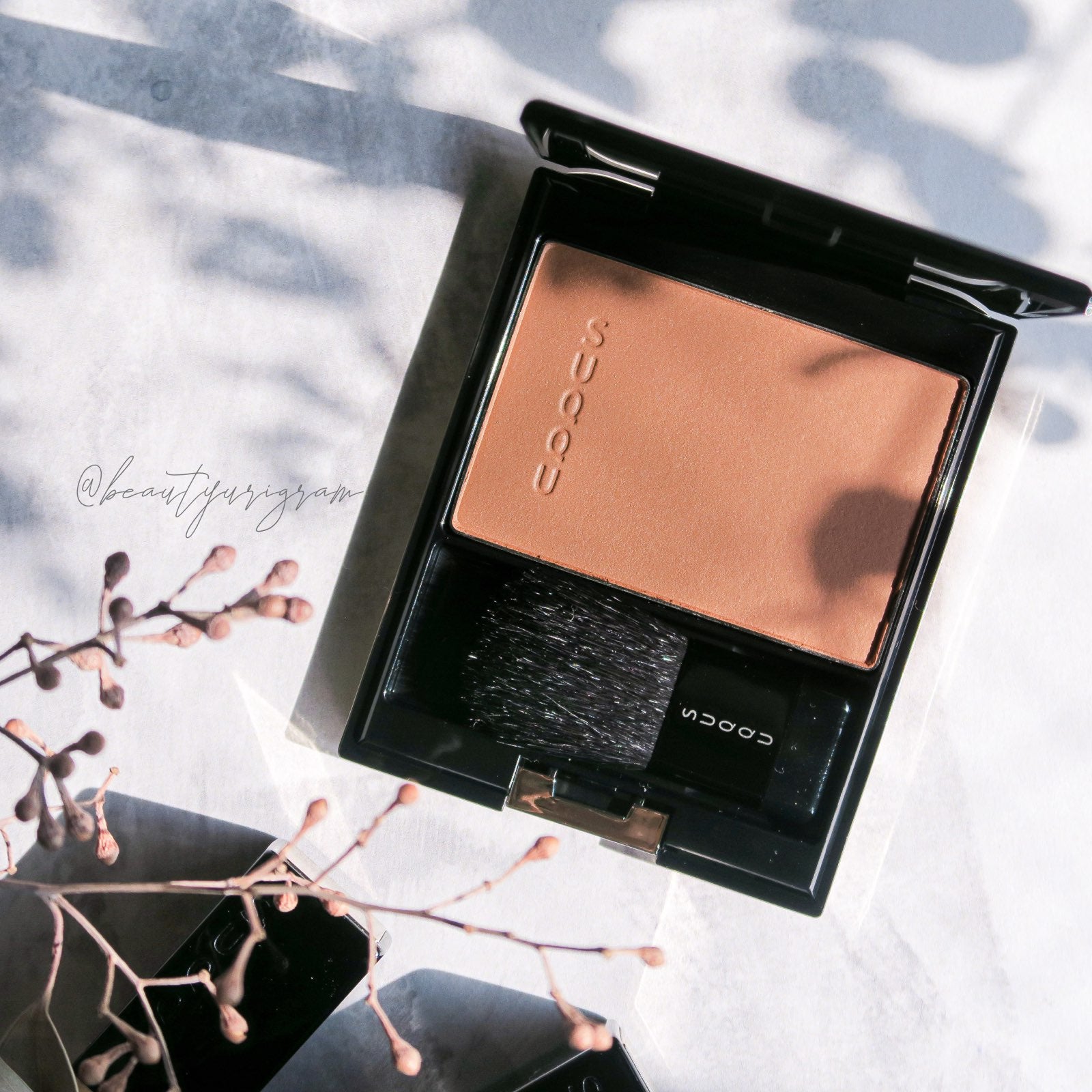 SUQQU】Pure Color Blush - 冬木立 | LiFE Scrapbook