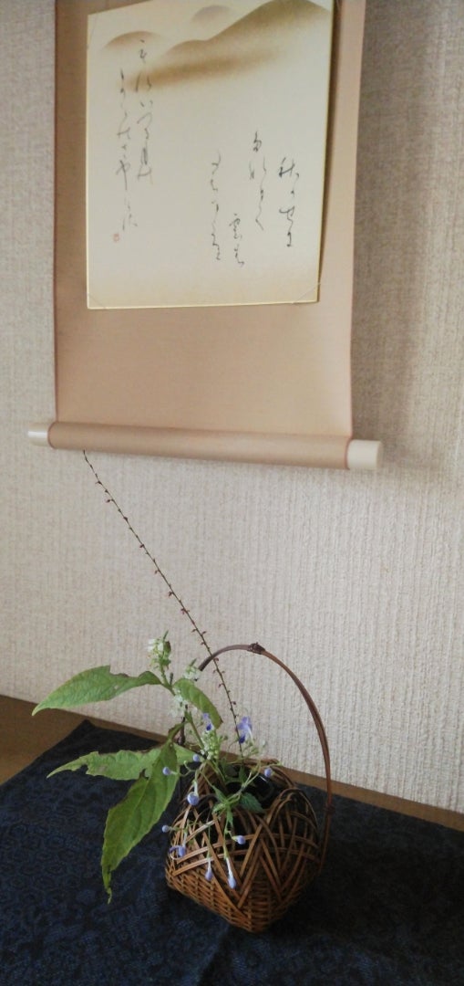 茶花の残りで 霜柱(シモバシラ)・水引草(ミズヒキソウ)・雁金草