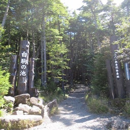 画像 蓼科高原 の記事より 9つ目