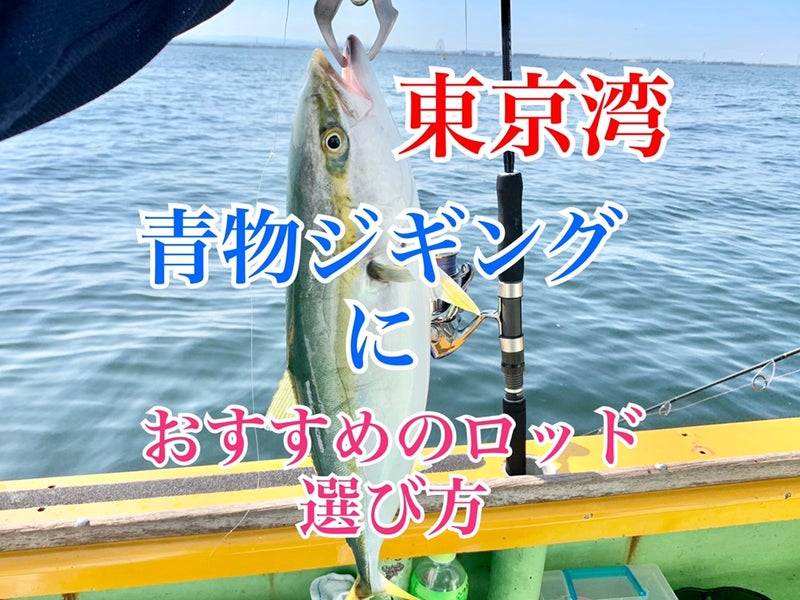 東京湾・青物ジギングロッドの選び方・種類|ロッドパワー、長さ、おすすめジギングロッド | す〜さんの釣行記＆釣り情報・時々AQUA