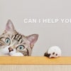 コロナ禍で必要とされる「猫の手」月極作業代行サービスの画像