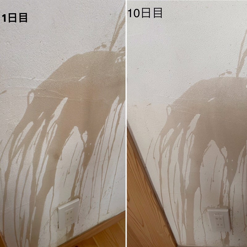 コーヒーこぼし１年経った漆喰壁
