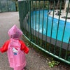 雨の日の桐生が岡公園。の画像