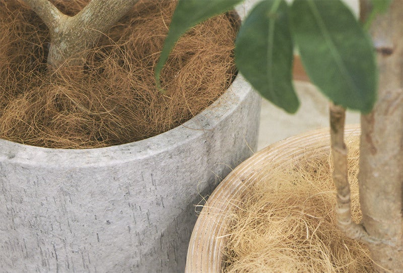 輝い ココファイバーをふんわりほぐして土を隠すマルチング技法で観葉植物やアウトドアの植栽をスタイルアップできます マルチング ヤシ繊維 ココファイバー  300g ナチュラル baysur.com.ar